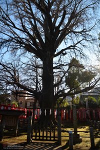 20180111130239_NIKON D7100.jpg